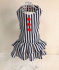 画像1: 小粋な青ストライプドレス (1)